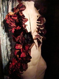 scl (27) - コピー   